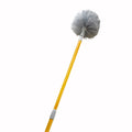 Telescopic Cobweb Duster