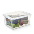 SmartStore Plastic Tidy Tub 14L