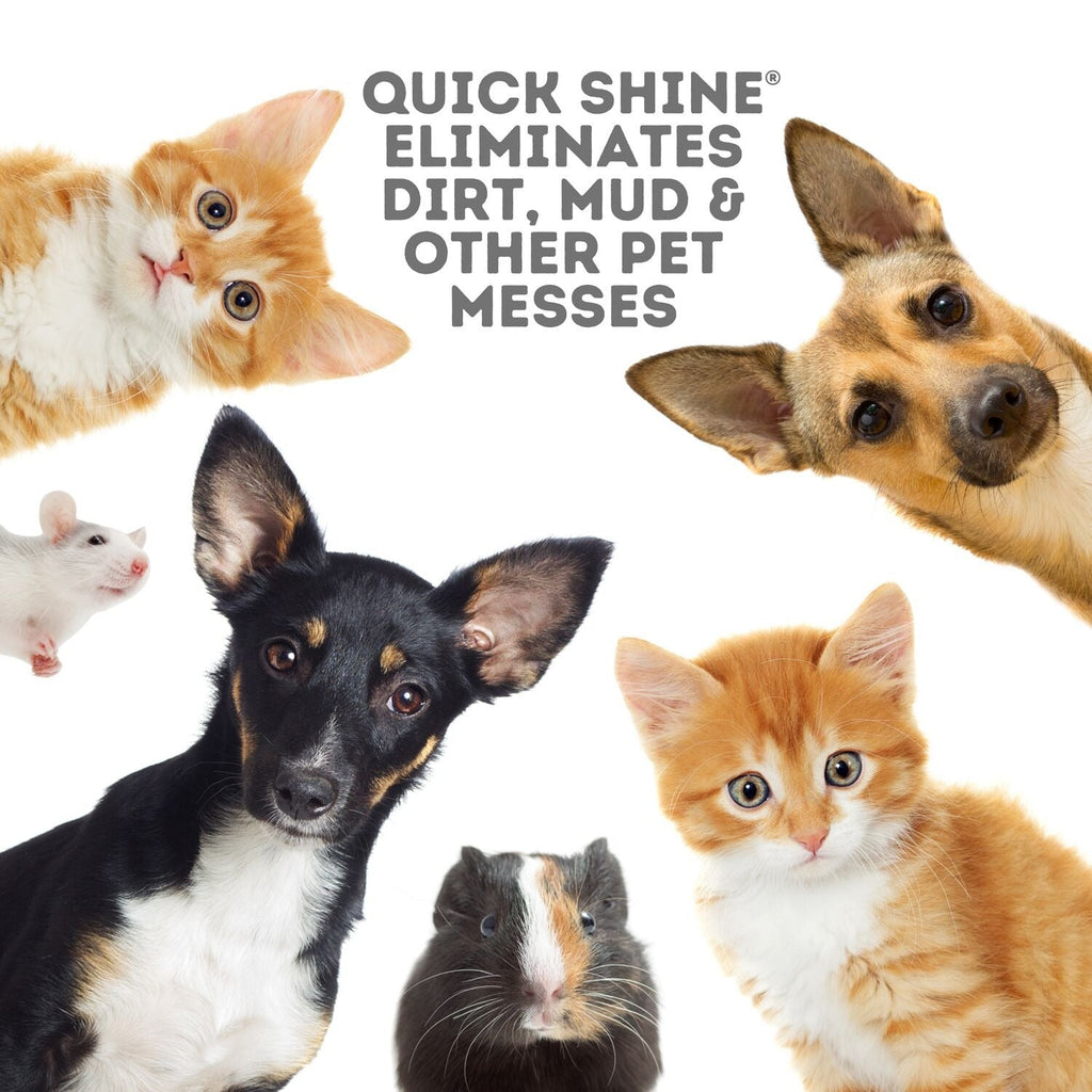 Quick Shine Plant-Based Pet-Friendly Floor Cleaner