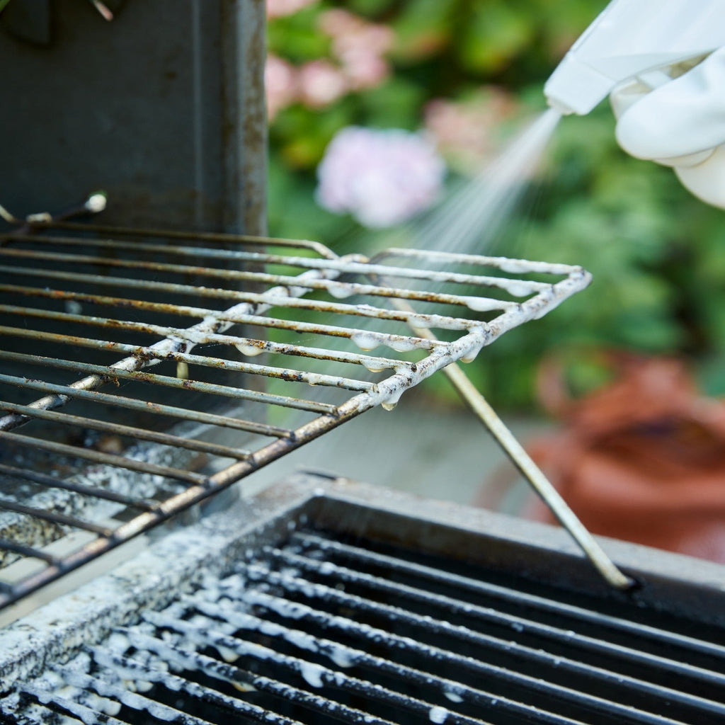Lakeland Barbecue and Grill Cleaner 750ml