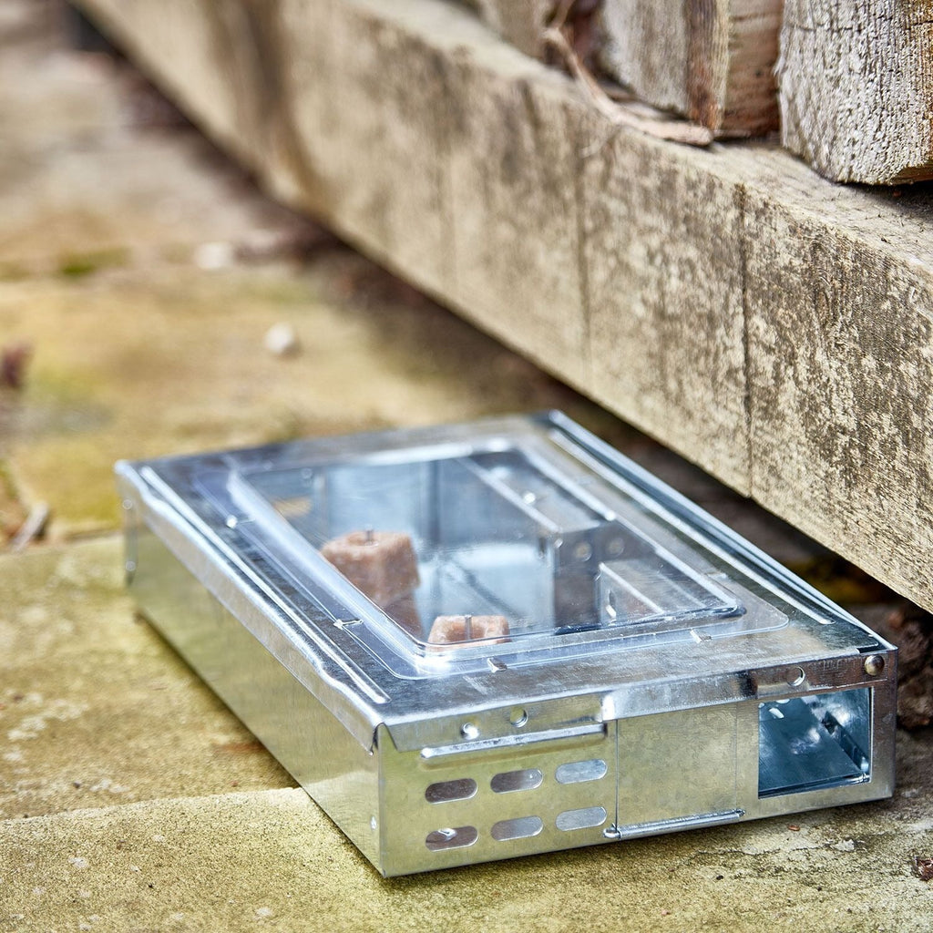 The Big Cheese Free To Go® Re-usable Multi-Catch Mouse Trap