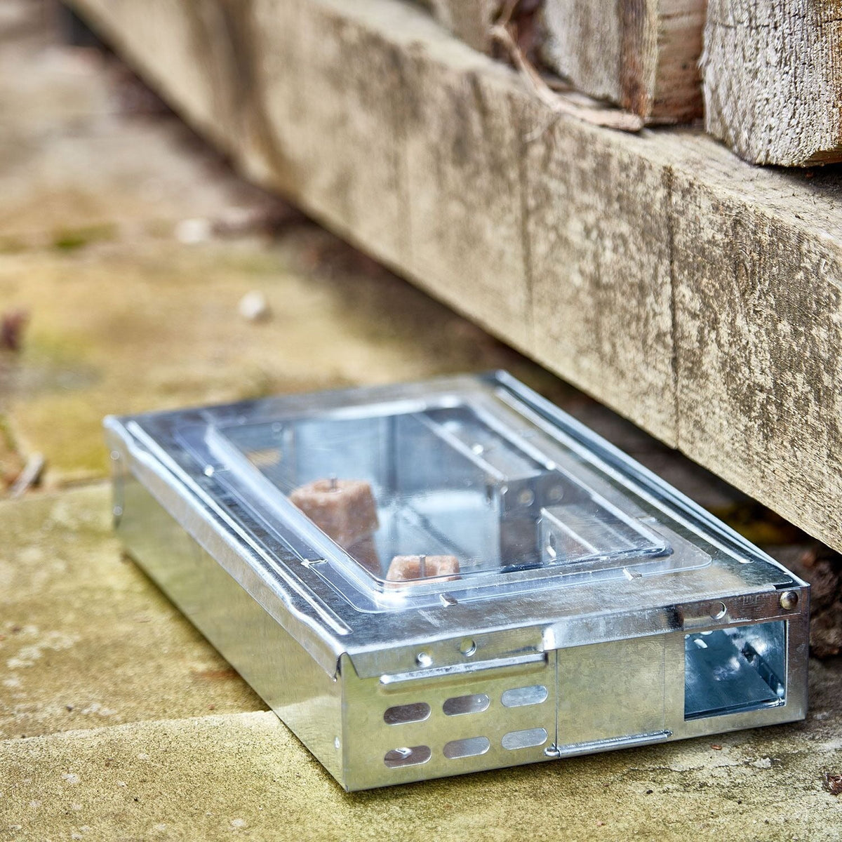 The Big Cheese Free To Go® Re-usable Multi-Catch Mouse Trap