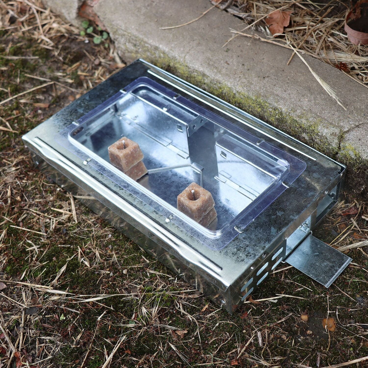 The Big Cheese Free To Go® Re-usable Multi-Catch Mouse Trap