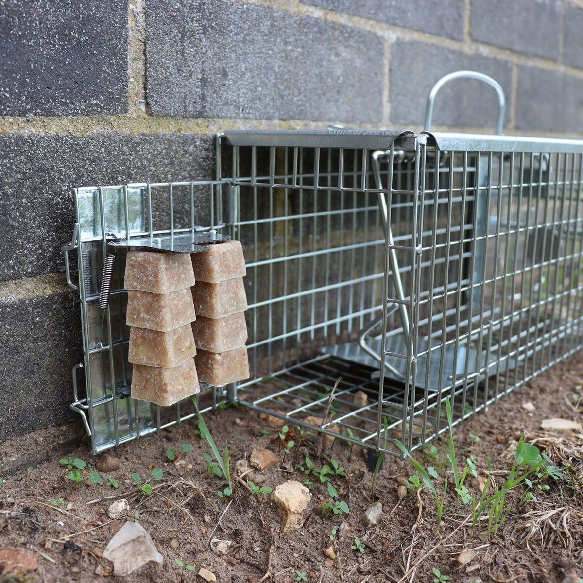 The Big Cheese Free To Go® Multi-Catch Rat Cage Trap